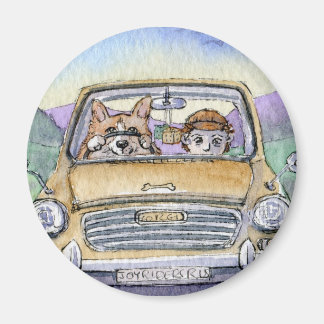 Íman Este cão Corgi levou a sua casa...