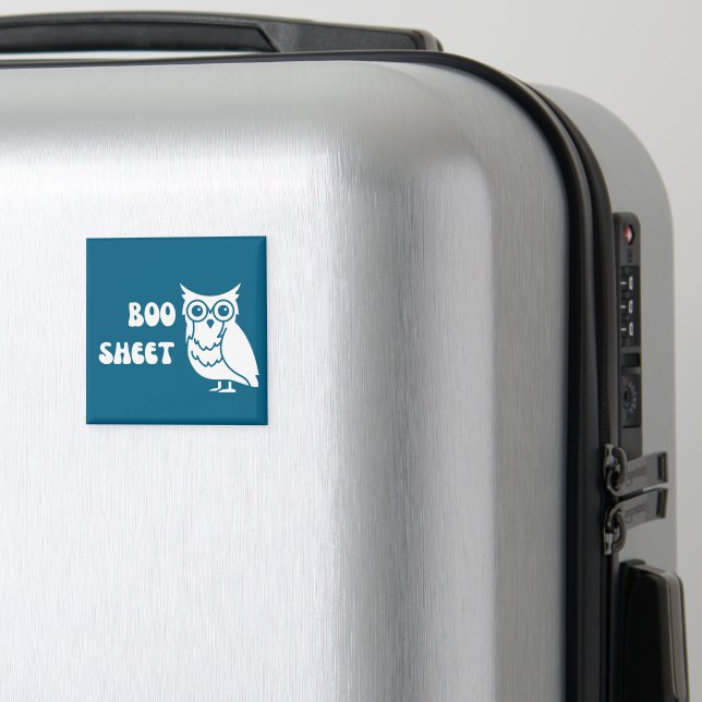 Íman Este é o boo Sheet (In Situ (Luggage))