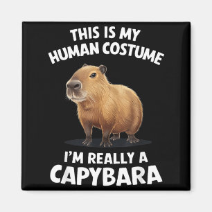 Íman Este é o meu disfarce de Humano Na verdade sou uma