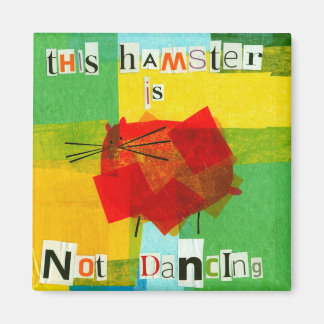 Íman Este Hamster não está dançando