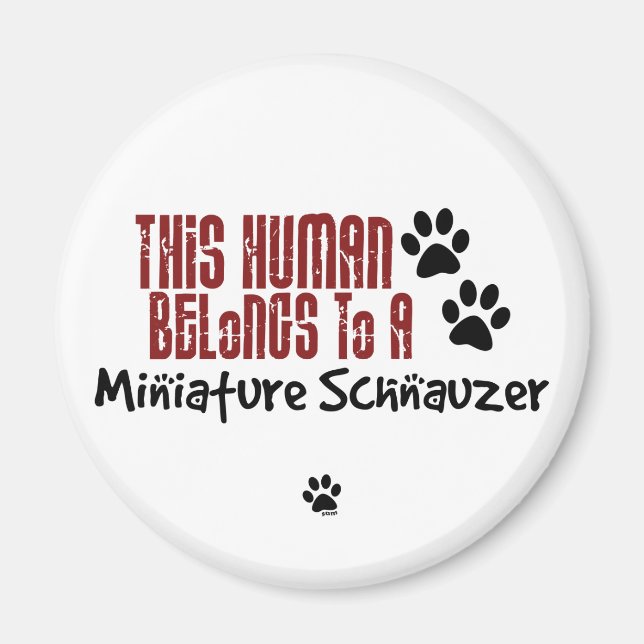 Íman Este Humano Pertence a uma Miniatura Schnauzer (Frente)