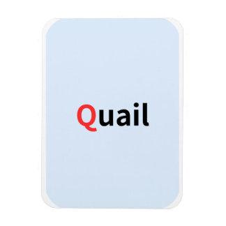 Íman Estes são cartões de acesso alfabéticos coloridos.