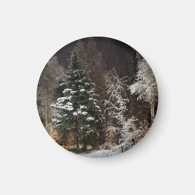 Íman Estética de Floresta de Inverno Congelada (Frente)