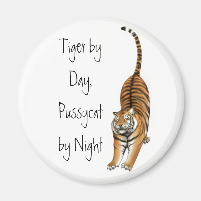 Íman Esticando o ímã do Tigre Bengal (Frente)