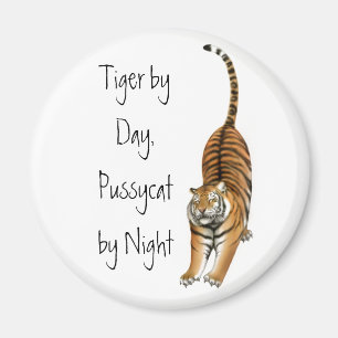 Íman Esticando o ímã do tigre de Bengal