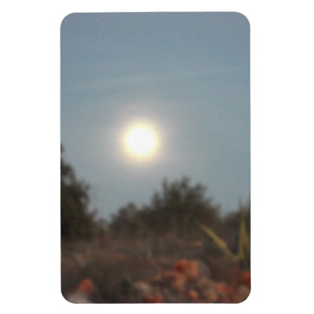 Íman Estilo de design do ímã de fotos flexível (Vertical)