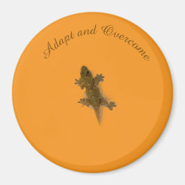 Íman Estilo de Lagarto