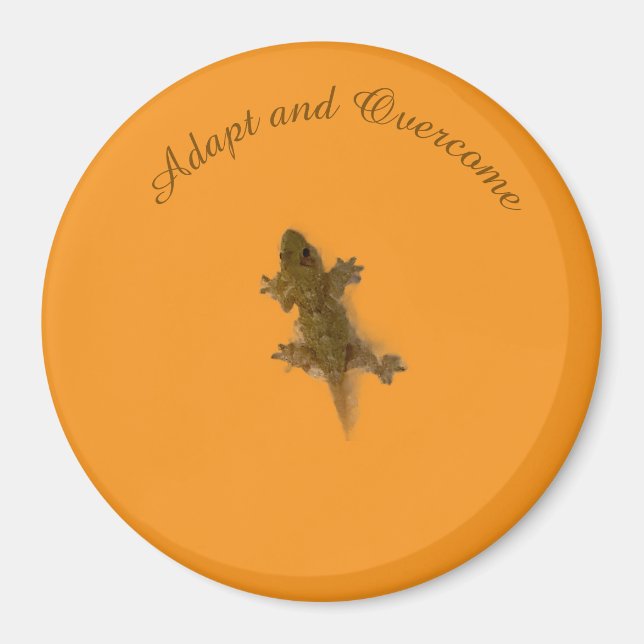 Íman Estilo de Lagarto (Frente)