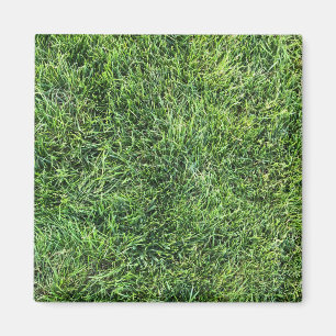 Íman Estilo de textura real de grama verde engraçado di