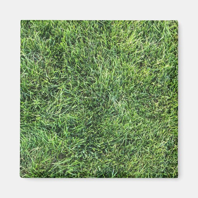 Íman Estilo de textura real de grama verde engraçado di (Frente)