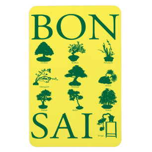 Íman Estilos Básicos da Árvore Bonsai
