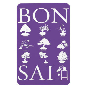 Íman Estilos Básicos da Árvore Bonsai