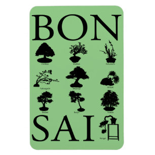 Íman Estilos Básicos da Árvore Bonsai