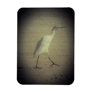 ÍMAN  ESTILOS DE DECORAÇÃO DE ARTE EM ÍMÃS