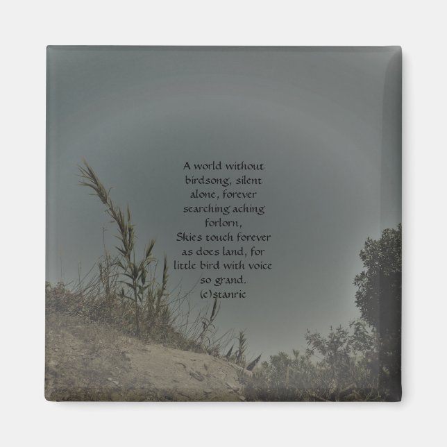 ÍMAN ESTILOS DE DESCORAGEM DE ARTE E DESIGN DO MAGNET (Frente)