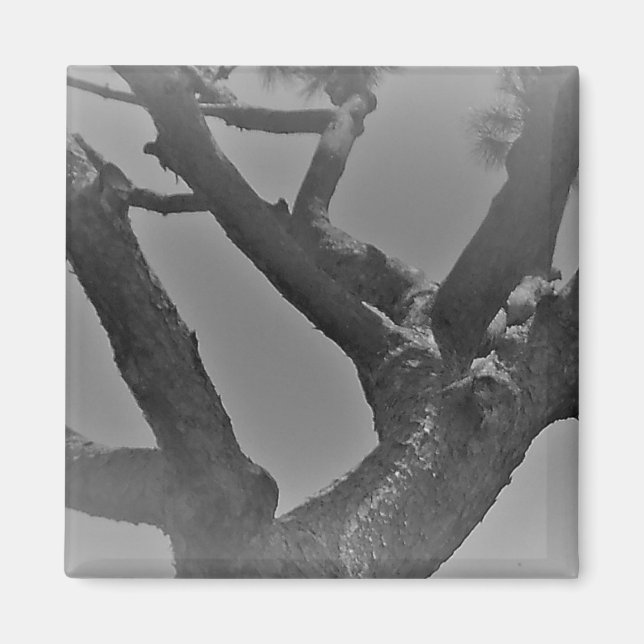 ÍMAN ESTILOS DE DESCORAGEM DE ARTE E DESIGN DO MAGNET (Frente)