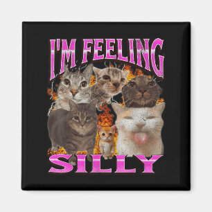 Íman Estou Me Sentindo Tolo Meme de Gato Engraçado Gráf