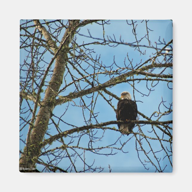 Íman Estou te observando (Frente)