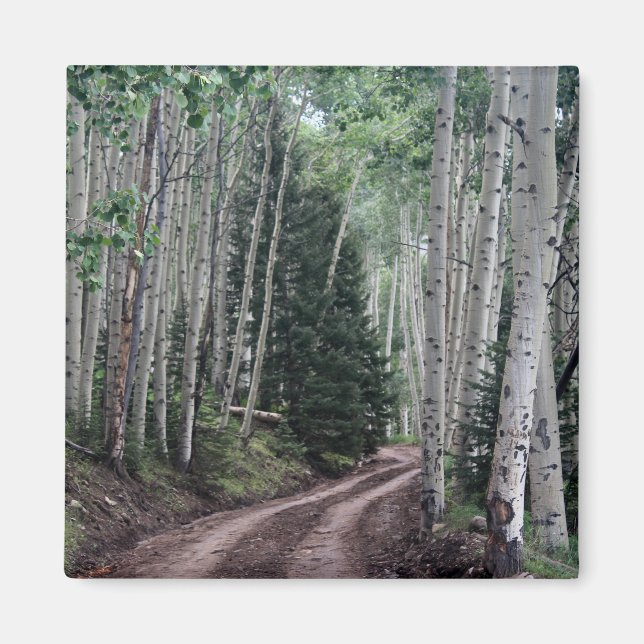 Íman Estrada Através do Pássaro (Frente)