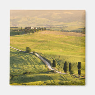 Íman Estrada branca no ímã da paisagem de Toscânia