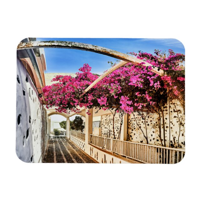 Íman Estrada Cênica em Santorini, Grécia (Horizontal)