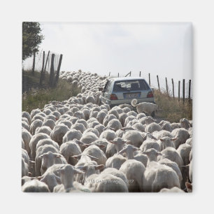 Íman estrada da terra de Toscânia, carro obstruído pe