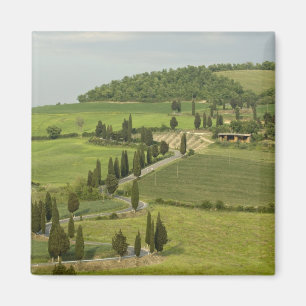 Íman Estrada de Pienza a Montepulciano,