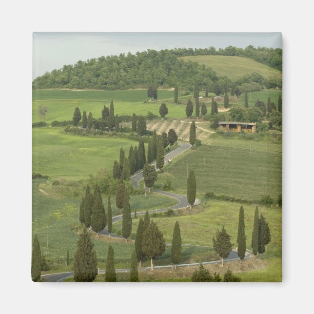 Íman Estrada de Pienza a Montepulciano, (Frente)