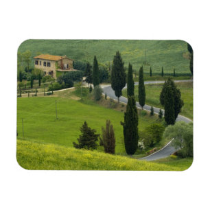 Íman Estrada de Pienza a Montepulciano, 2