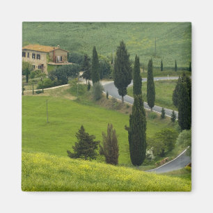 Íman Estrada de Pienza a Montepulciano, 2