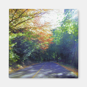 Íman Estrada de Portland, Oregon ao jardim de rosas