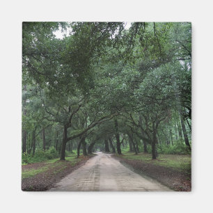 Íman estrada de segurança