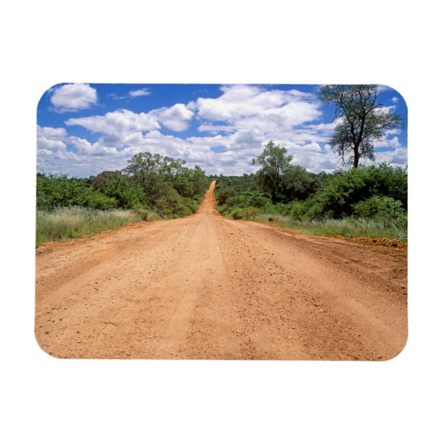 Íman Estrada de terra, Parque Nacional Kruger, Mpumalan (Horizontal)