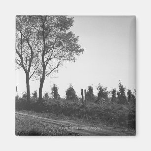 Íman Estrada de terra pelo campo B&W