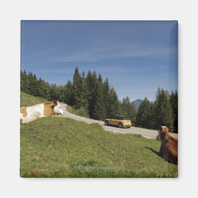 Íman estrada pós-alm, weissenbachtal, (Frente)