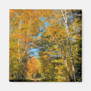 Íman Estrada Rural Cores de Outono New Hampshire