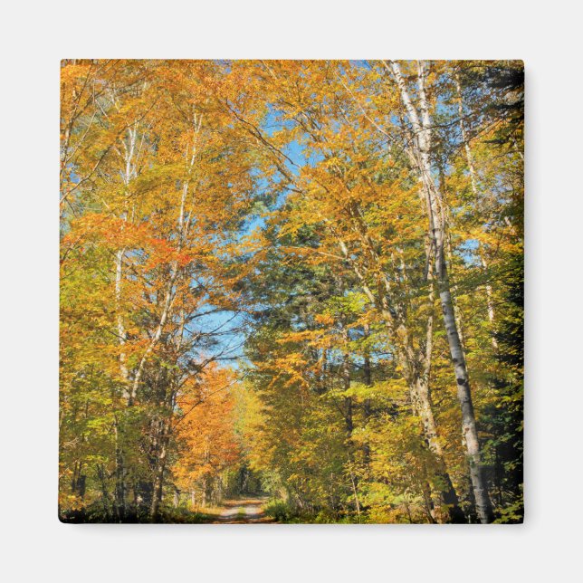 Íman Estrada Rural Cores de Outono New Hampshire (Frente)