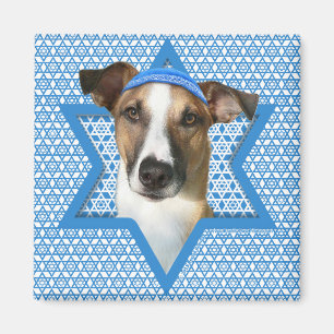 Íman Estrela de Hanukkah de David - Whollie - Coney