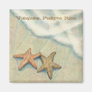 Íman Estrela do mar