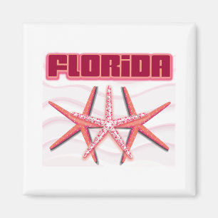 Íman Estrela do mar de Florida