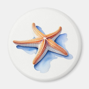 Íman Estrela do Mar e Silhueta Azul