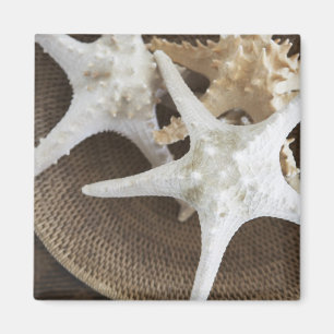 Íman Estrela do mar em uma cesta