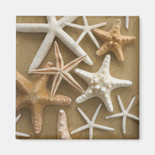 Íman Estrela do mar na areia