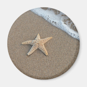 Íman Estrela do mar pela praia