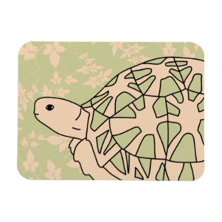 Íman Estrela Tortoise Magnet (verde-folhagem)