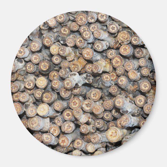 Íman Estrelas ao longo do Rio Grande Cotton Wood Trees  (Frente)