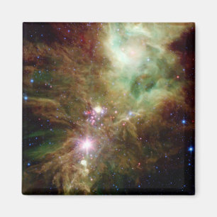 Íman Estrelas recém-nascidas no conjunto da árvore de