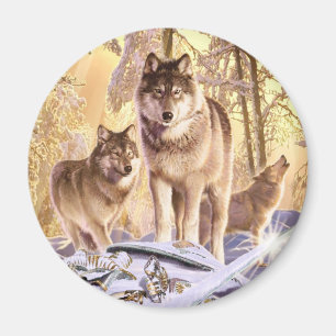 Íman "Estrelas sob a neve "