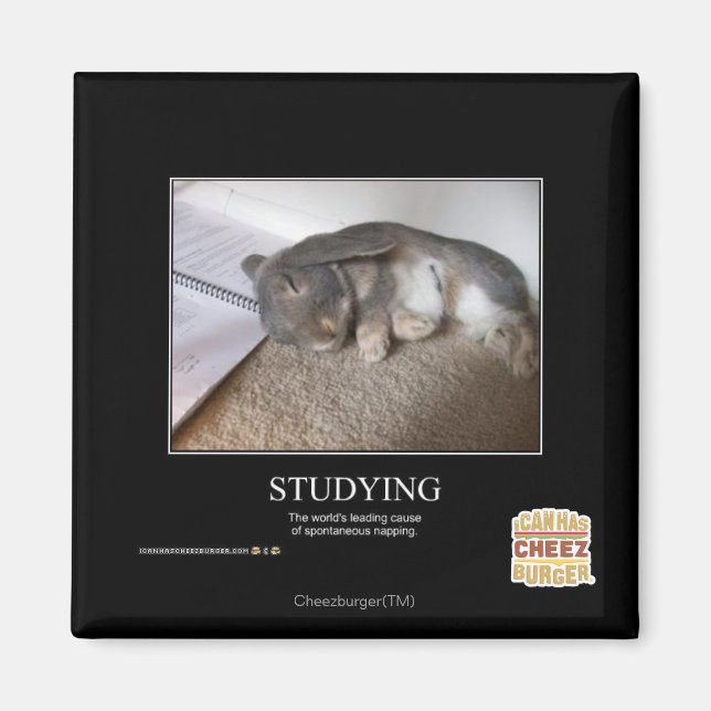 Íman Estudo (Frente)