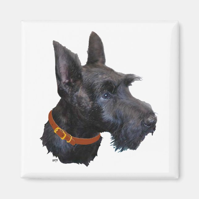 Íman Estudo da Cabeça do Terrier Escocês (Frente)